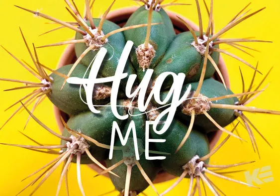 Kurt Eulzer 30-2379 postkaart Hug Me cactus 3D liggend
