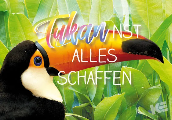 Kurt Eulzer 30-2377 ansichtkaart toekan 3D