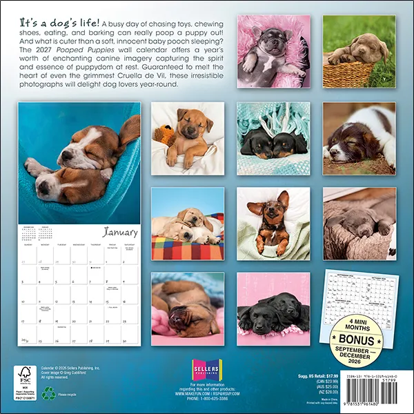 Sellers Publishing Pooped Puppies 2027 wandkalender pups