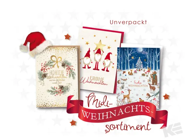 Kurt Eulzer 22-2881 kerstkaarten 60 stuks natuurkarton