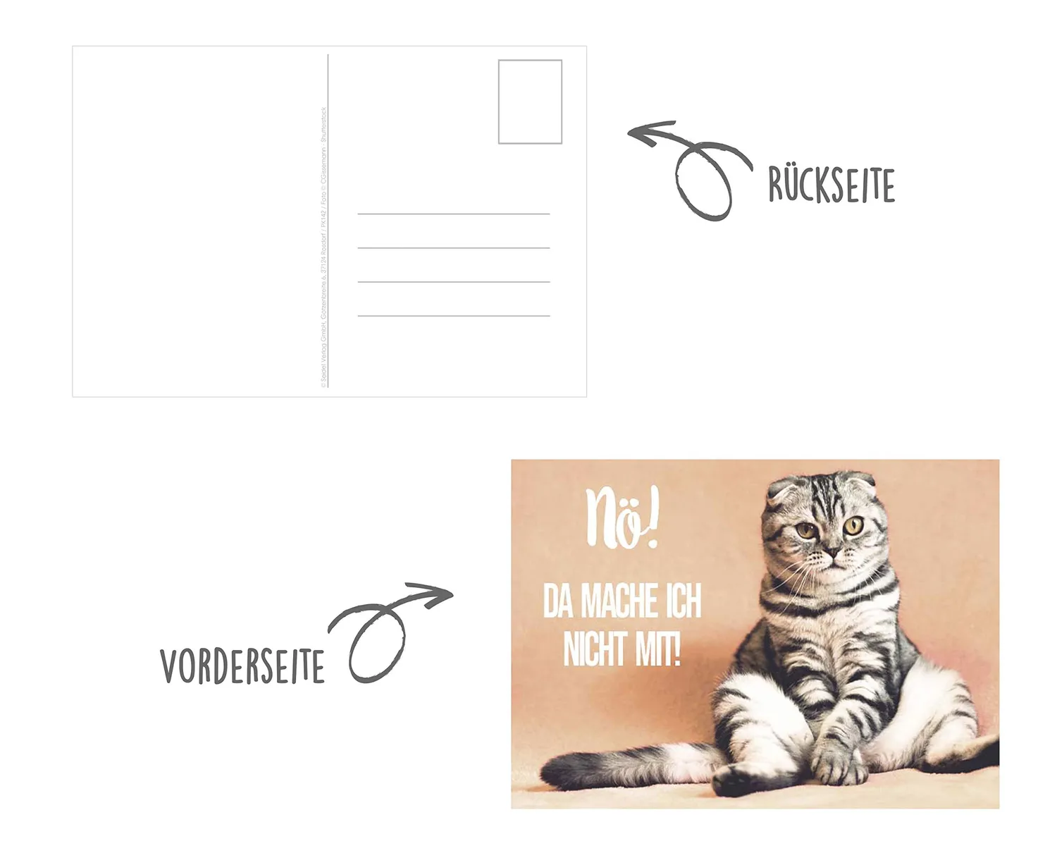 Edition Seidel katten postkaarten 40 stuks met spreuk humor