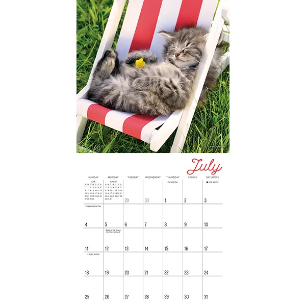 Sellers Publishing Cat Naps 2027 minikalender slapende katten