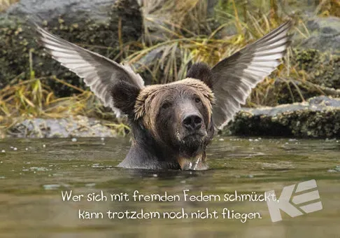 Kurt Eulzer Comedy Wildlife 30-1592 kaart beer 10 stuks