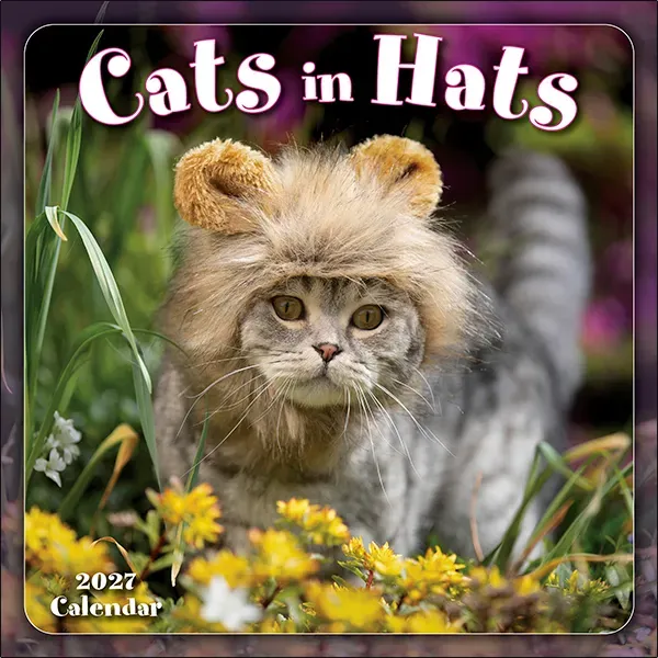 Sellers Publishing Cats In Hats 2027 minikalender katten