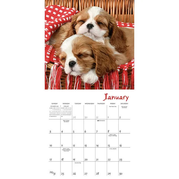 Sellers Publishing Pooped Puppies 2027 minikalender slapende puppy's