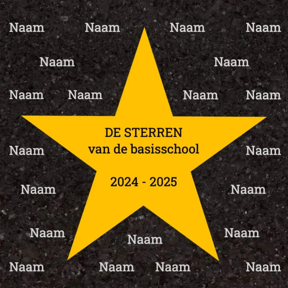 Gozi Groep 8 Ster stoeptegel afscheidscadeau