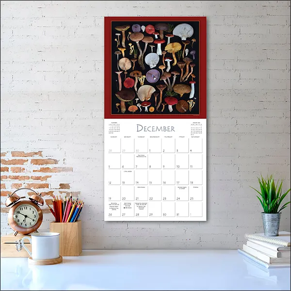Sellers Publishing Mushrooms 2027 wandkalender paddenstoelen
