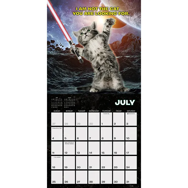 Sellers Publishing Cat Wars 2027 minikalender katten