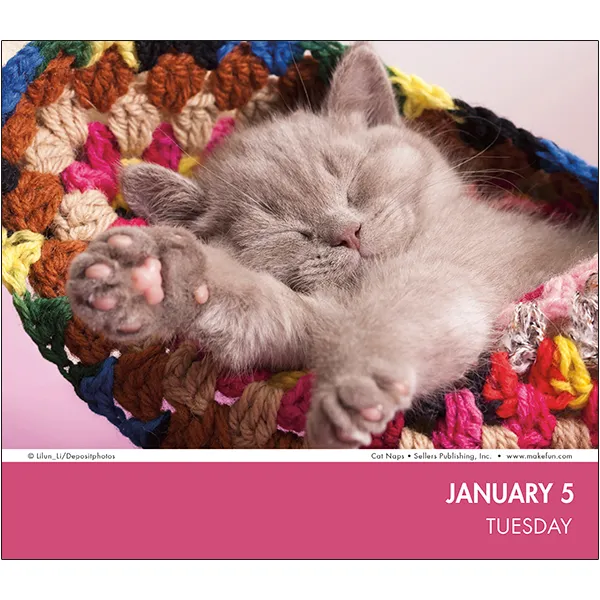 Sellers Publishing Cat Naps 2027 dagkalender katten