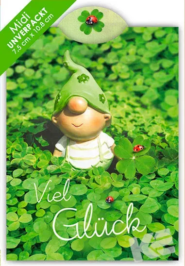 Kurt Eulzer Great Nature 45-4161 wenskaart kabouter