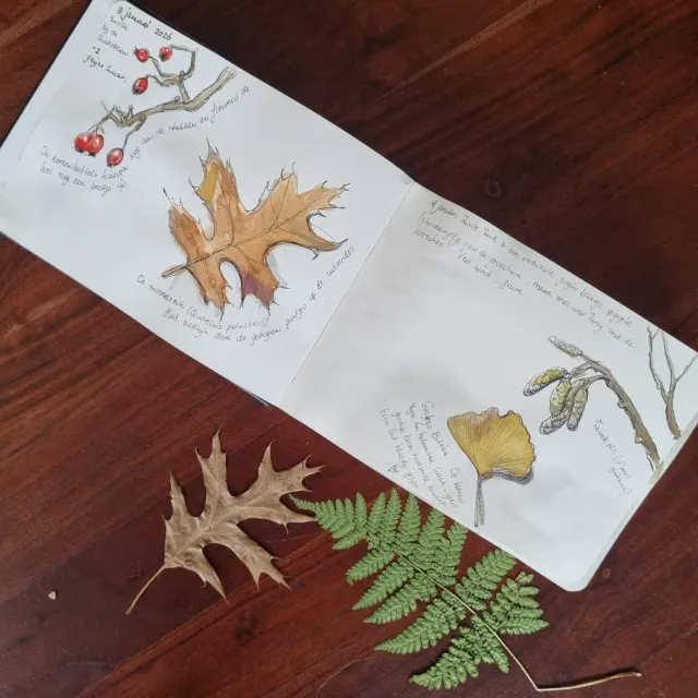 Blad & Beeld Workshop Natuur journaling workshop
