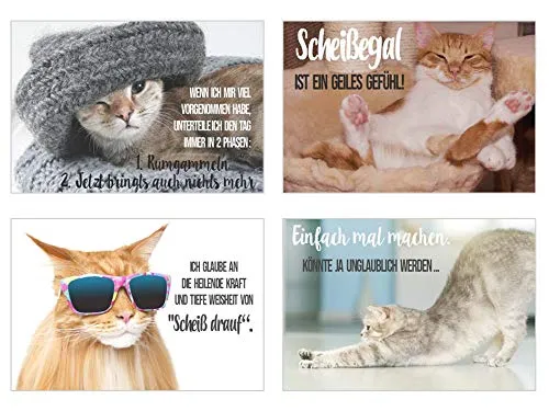 Edition Seidel katten postkaarten 40 stuks met spreuk humor