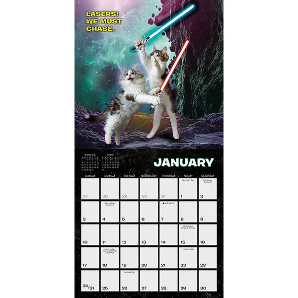Sellers Publishing Cat Wars 2027 minikalender katten