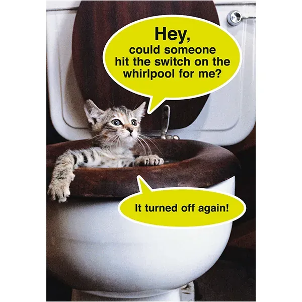Sellers Publishing Birthday Humor B7799A verjaardagskaarten 6 stuks