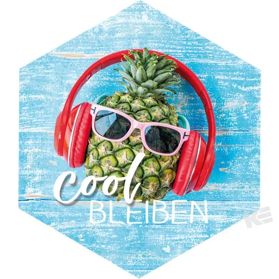 Kurt Eulzer 01-0478 magneet button ananas zeshoek 3 stuks