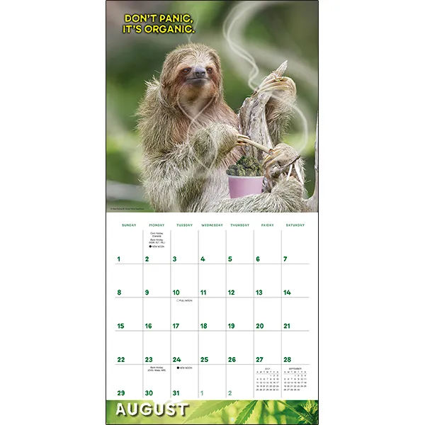 Sellers Publishing Stoner Sloths 2027 wandkalender luiaards