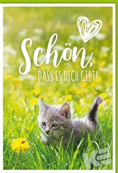 Kurt Eulzer 41-1386 wenskaart kitten wei – wit karton