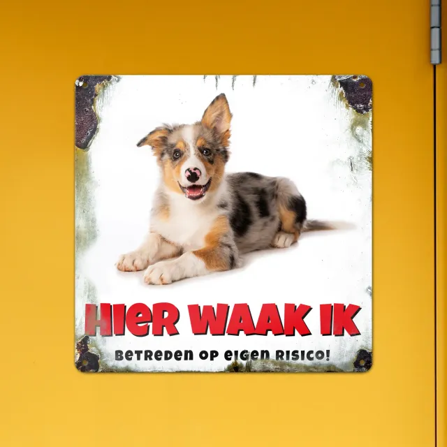 Gozi Hond metalen bord 30x30 cm waarschuwingsbord