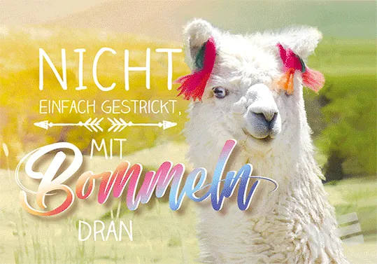 Kurt Eulzer 30-2378 postkaart alpaca 3D dwars