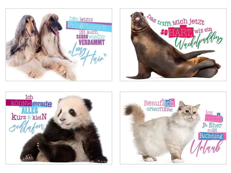 Edition Seidel 23003 postkaarten dieren set 25 grappig