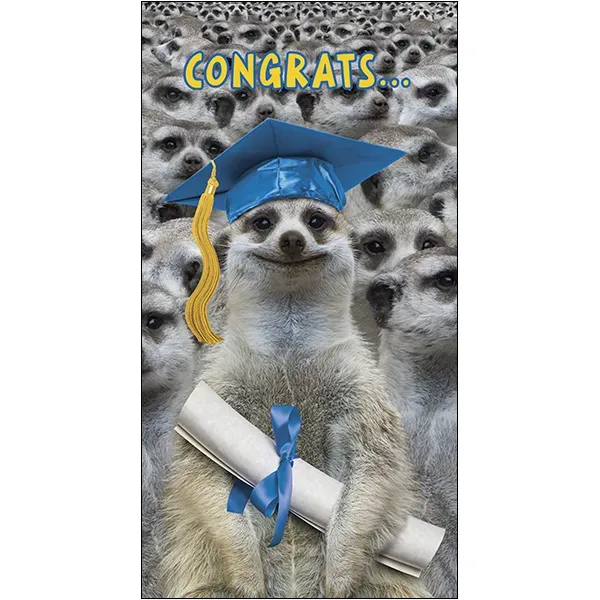 Sellers Publishing Graduation Money Holder G13275Q geldkaarten 4 stuks