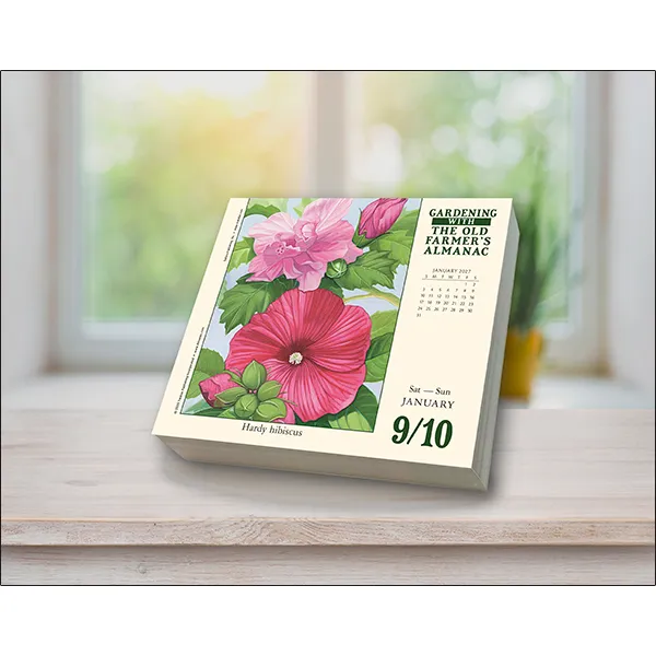 Sellers Publishing Old Farmer’s Almanac tuinkalender 2027