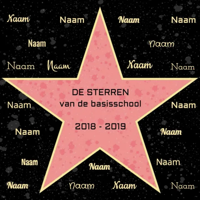 Gozi Hollywood Groep 8 stoeptegel met namen