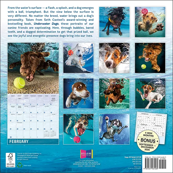 Sellers Publishing Underwater Dogs 2027 wandkalender honden