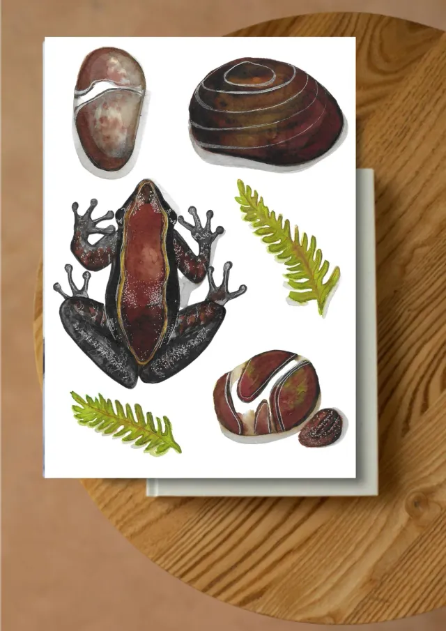 Blad & Beeld Kikker kaart vrolijke dierenkaart