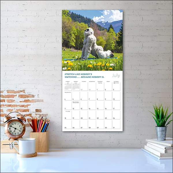 Sellers Publishing Yeti Yoga 2027 wandkalender humor