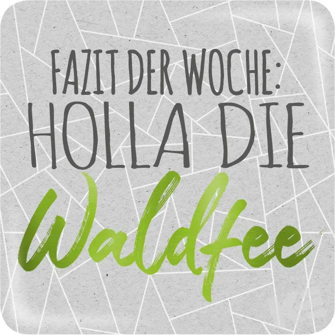 Kurt Eulzer 01-0422 magneet Holla die Waldfee 3 stuks