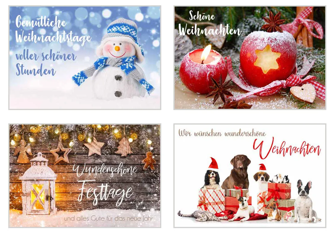 Edition Seidel kerstkaarten 20148 set 12 met envelop