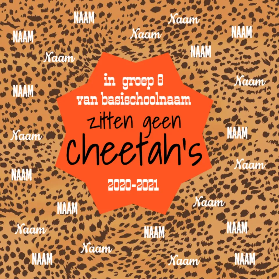 Gozi Groep 8 Cheetah's stoeptegel afscheid