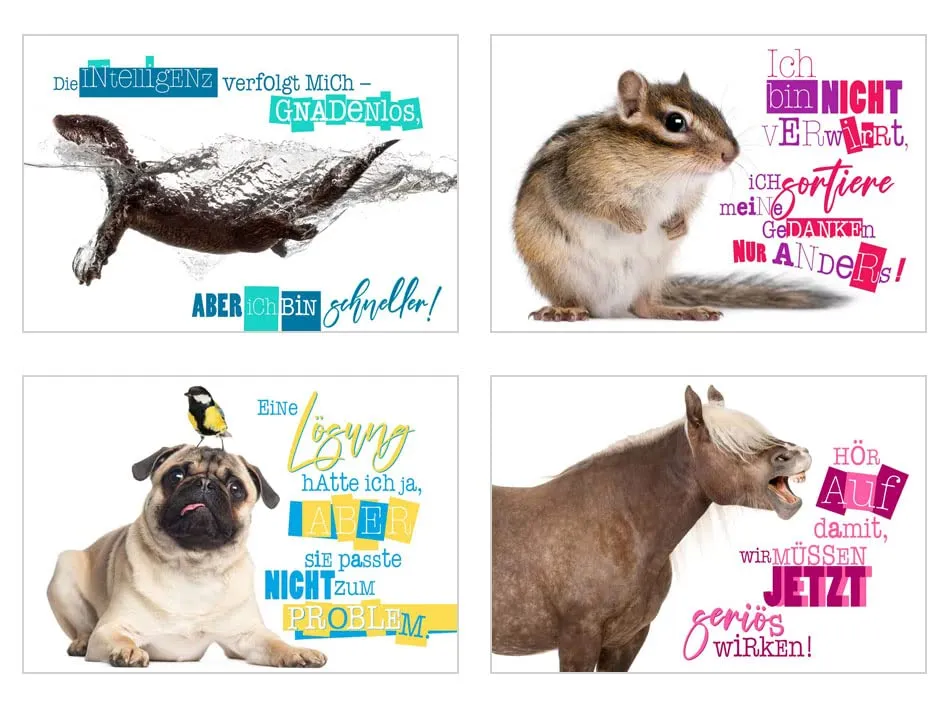 Edition Seidel 23003 postkaarten dieren set 25 grappig