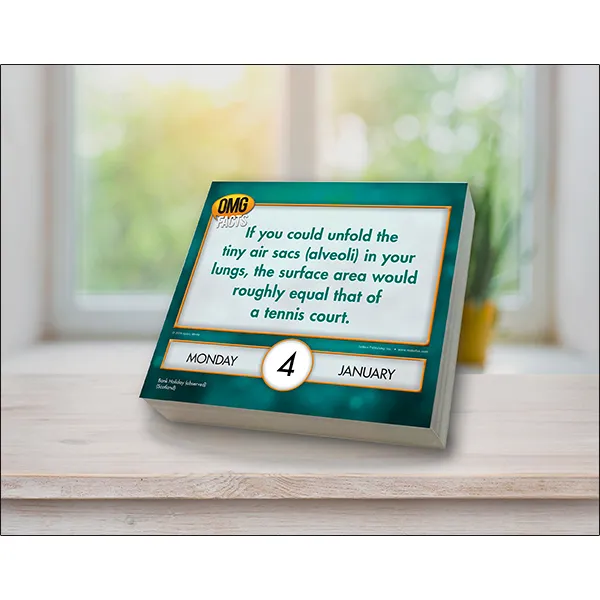 Sellers Publishing OMG Facts 2027 dagkalender weetjes
