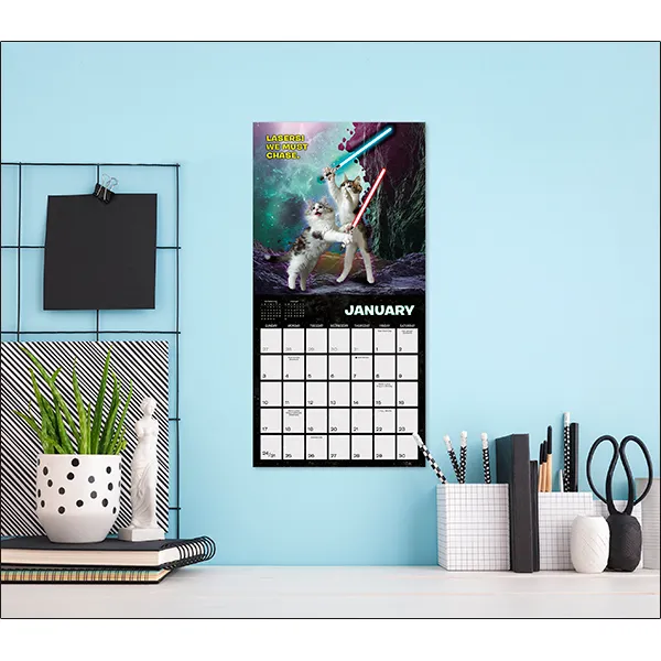 Sellers Publishing Cat Wars 2027 minikalender katten