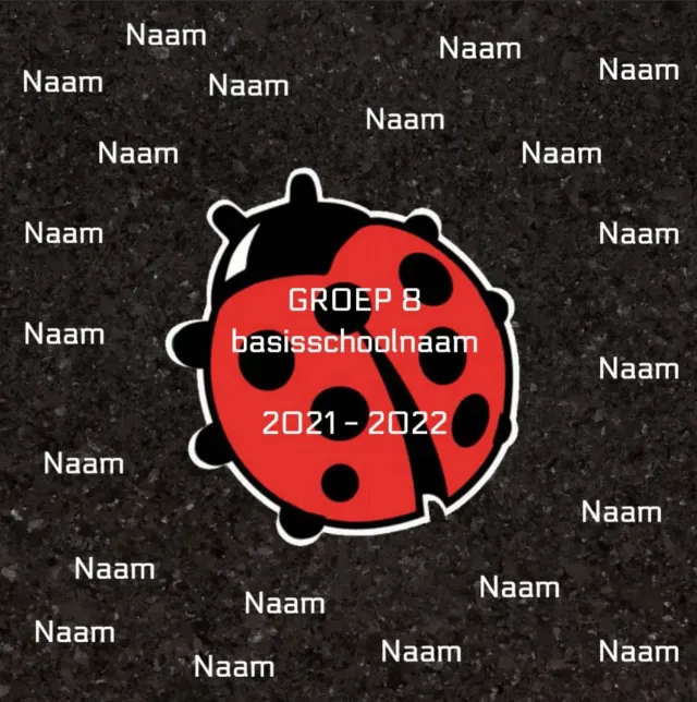 Gozi Groep 8 Lieveheersbeestje stoeptegel afscheid