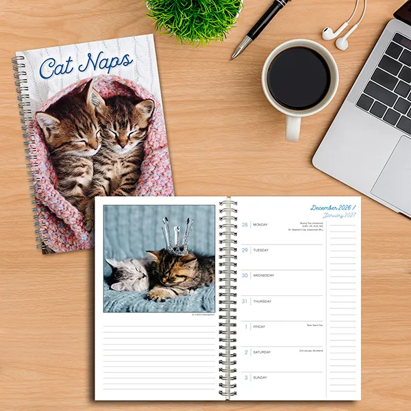 Sellers Publishing Cat Naps 2027 weekplanner katten