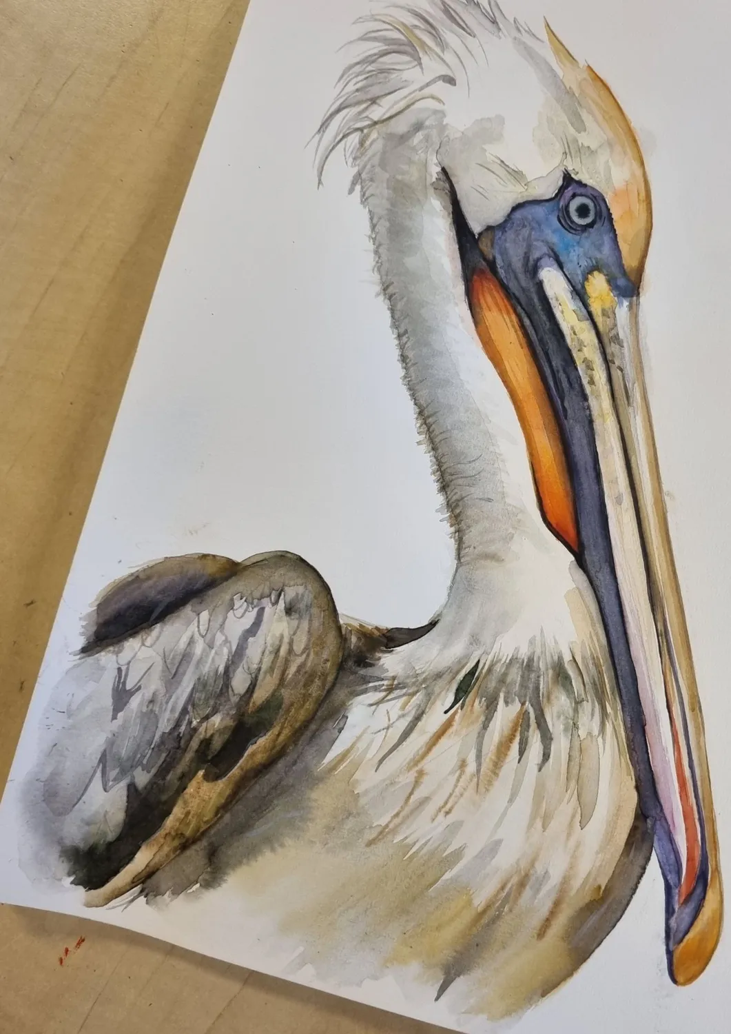 Blad & Beeld Pelikaan kaart wenskaart met envelop