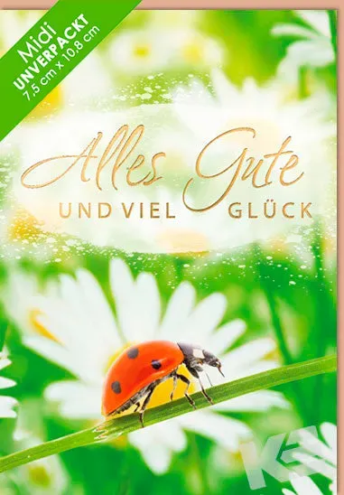 Kurt Eulzer Great Nature wenskaart lieveheersbeestje