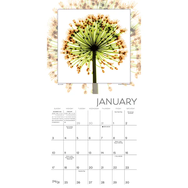 Sellers Publishing Flower Spirits 2027 minikalender bloemen