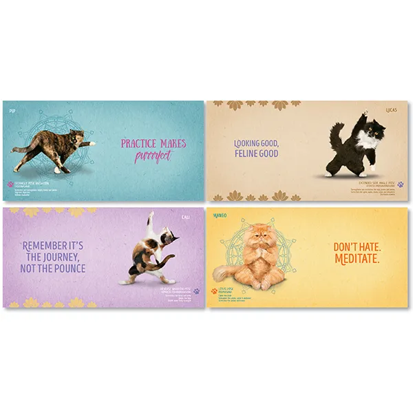 Sellers Publishing Yoga Cats boek kattenfoto's cadeau