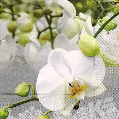 Kurt Eulzer 09-4104 servetten orchideeen 33x33