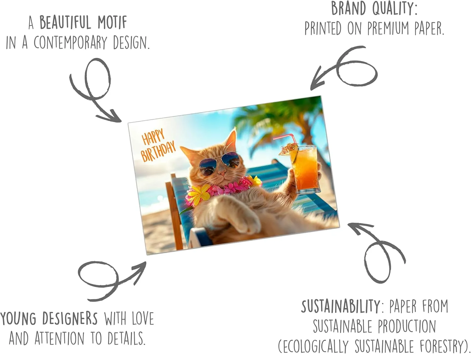 Edition Seidel G3520 SW024 verjaardagskaart kat strand met envelop