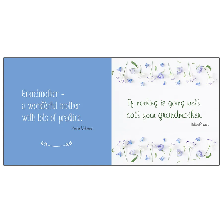 Sellers Publishing Grandmothers are the Best cadeauboek oma