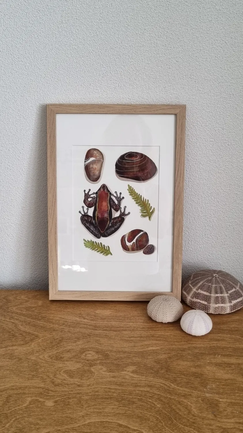 Blad & Beeld Bruine kikker aquarel met lijst