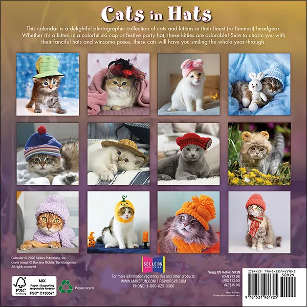 Sellers Publishing Cats In Hats 2027 minikalender katten