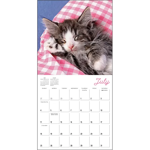 Sellers Publishing Cat Naps 2027 wandkalender katten