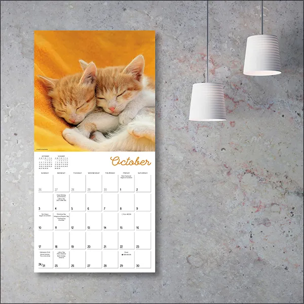 Sellers Publishing Cat Naps 2027 wandkalender katten