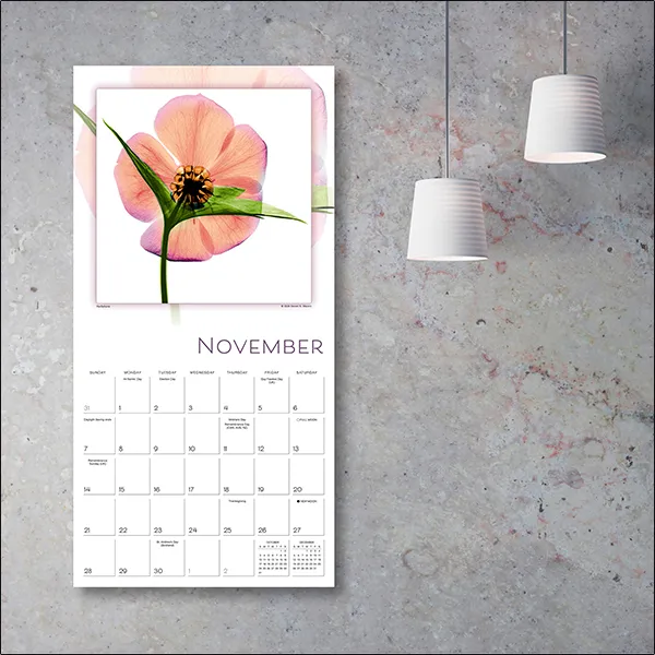 Sellers Publishing Flower Spirits 2027 wandkalender bloemen
